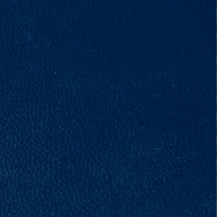 фото Твердые обложки C-Bind O.Hard Magister AA 5 мм синие текстура кожа лайка